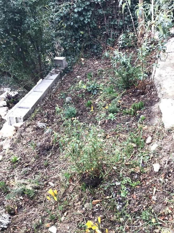 Hébergement de vacances Nid douillet au cœur de la haute provence Reillanne