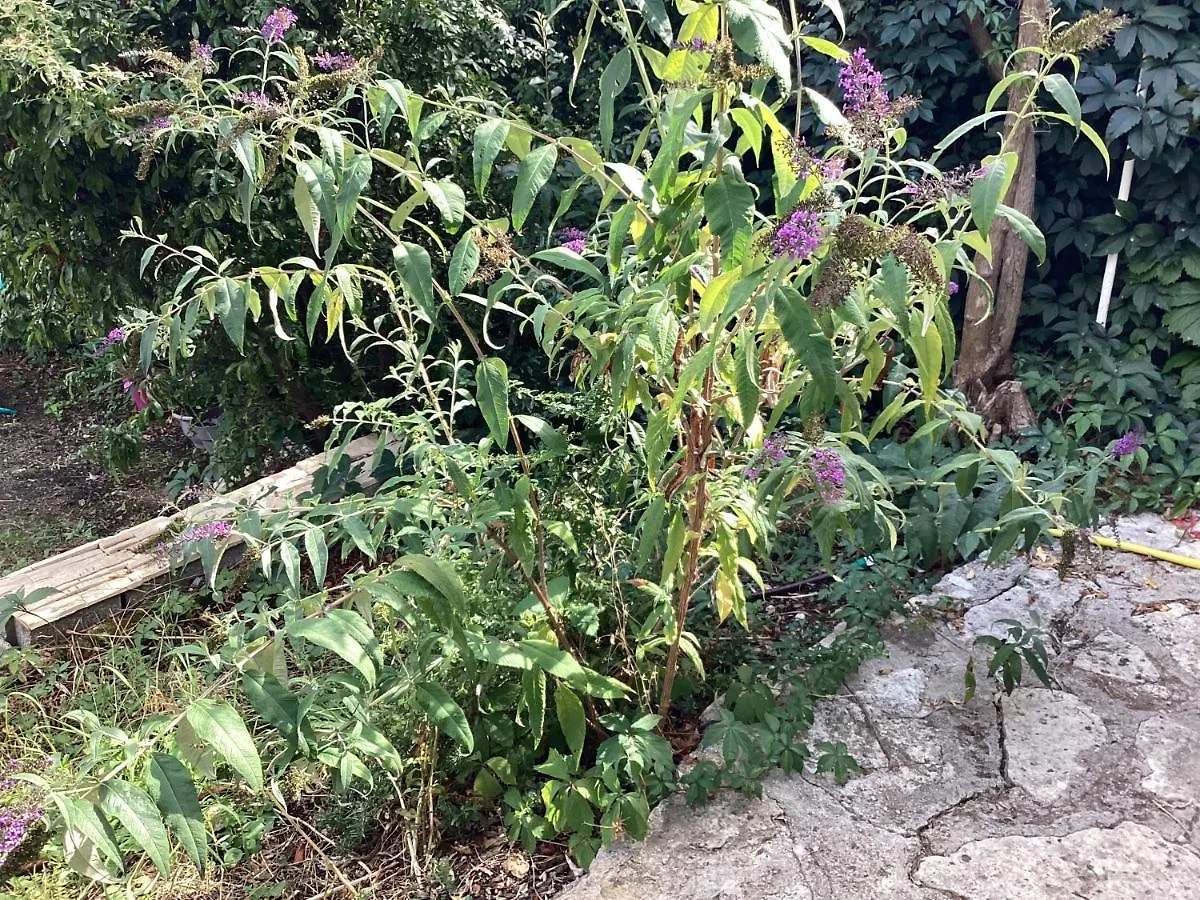 Hébergement de vacances Nid douillet au cœur de la haute provence Reillanne